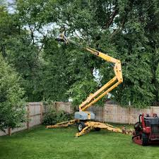 Best Utility Line Clearance  in Elk River, MN